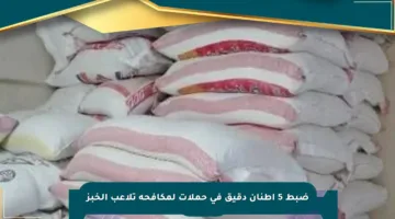 ضبط 5 أطنان دقيق في حملات لمكافحة تلاعب الخبز